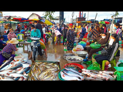 Cambodian Street Food Review 2021 - Fresh Food Compilation In The Market