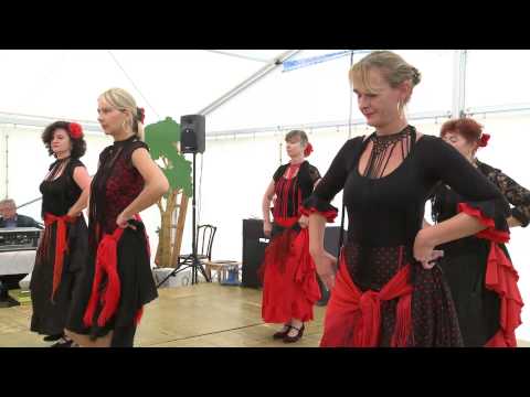 Flamencogruppe Alejandra in action