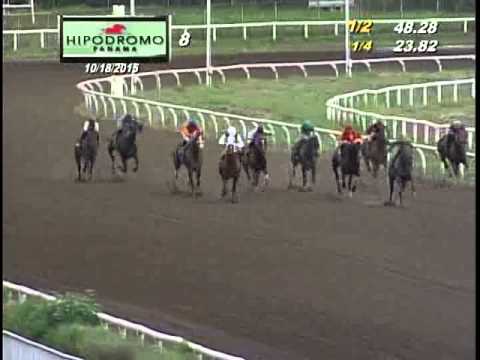 8VA CARRERA DOMINGO 18 DE OCTUBRE 2O15 HPR