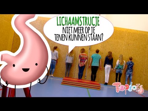 OP HET PUNTJE VAN JE TEEN! - LICHAAMSTRUC
