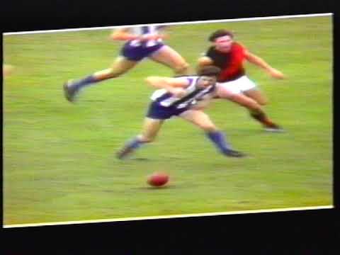 Wayne Schimmelbusch and Gary Dempsey North Melbourne Kangaroos