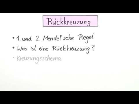 Biologie: Rückkreuzung | Biologie | Genetik