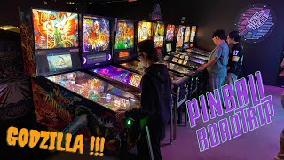 Godzilla! Roadtrip! Pinball!!