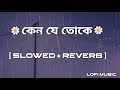 Keno Je Toke । [ Slowed & Reverb ] । Mon Jaane Na। Raj Barman । Lofi Music