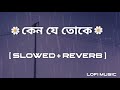 Keno Je Toke Slowed Reverb Mon Jaane Na Raj Barman Lofi Music