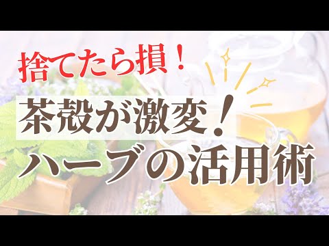 医療ビジネス薬科学科 捨てたら損！茶殻が激変！ハーブの活用術