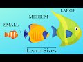 Learn And Compare Sizes Small Medium Large For Kids