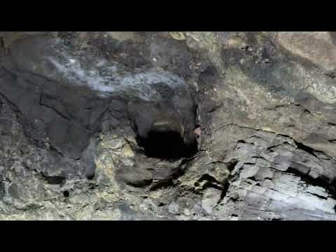 Pestera de Mulaj "Cășoia lui Ladaș'' din muntii Calimani.🇷🇴