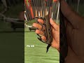 Knuckle Duster Knife ️ ️ Amazing Button Knife Gupti Knife Indian Sword Market Khanjar Knife