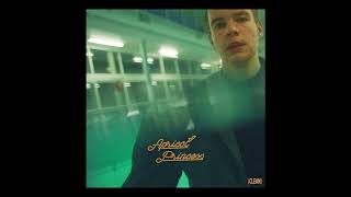 Rex Orange County - Apricot Princess (Clean)