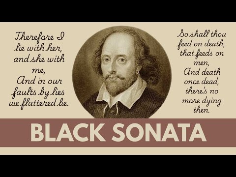Black Sonata | Solo Board Game Tutorial and Playthrough