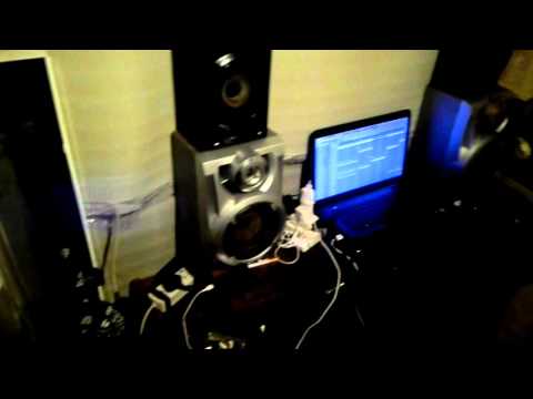 Roktosh & Taccido in the chichen!!