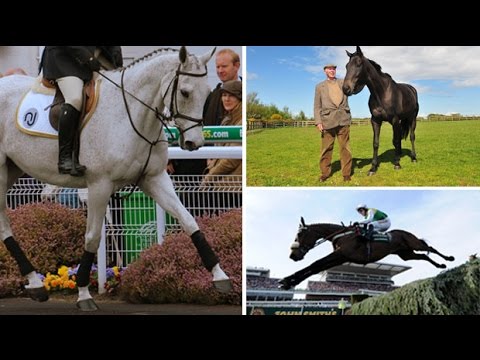 Grand National winners: where are they now?
