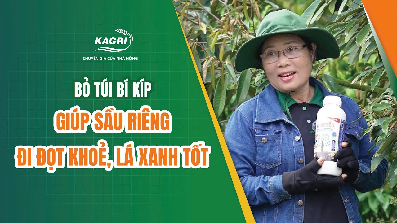 Video phỏng vấn nhà vườn KA GREEN đợt 1