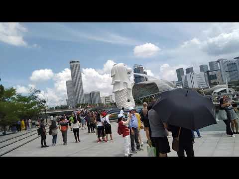 Singapore Merlion View