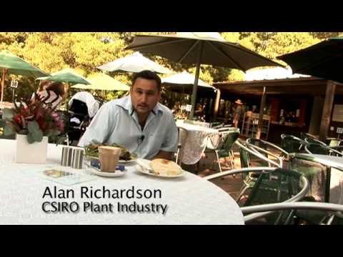 Digesting the facts on genetic modification (GM)