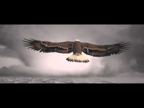 Eagle torn LOOP prev