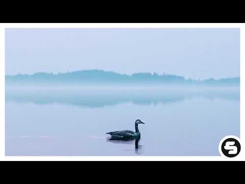 Jonas Schmidt, Fenox, Laeko - Take What's Yours (feat. Mingue) [D'amico & Valax & Casiraghi Remix]