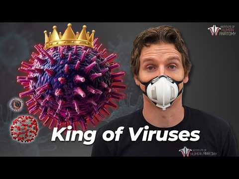 King of the Viruses: What Flu Does to the Body