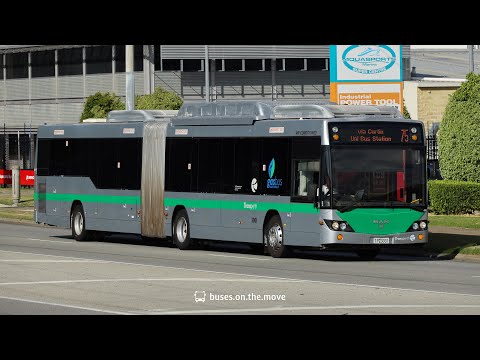 A short ride on TP3001, Transperth’s one and only MAN A24 (CNG)