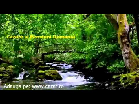 Cazare Ciocani, Vaslui - Cazat.ro