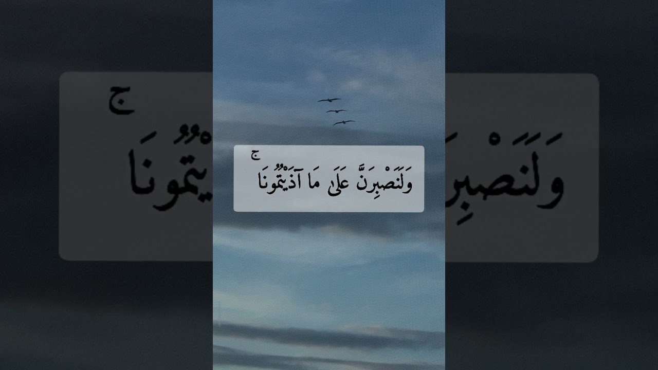و م ا ل ن ا أ ل ا ن ت و
