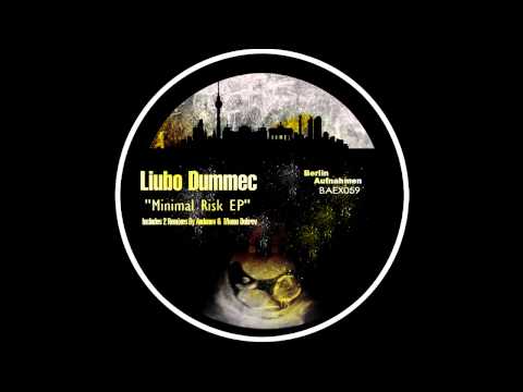 Liubo Dummec - Minimal Risk (Original Mix)