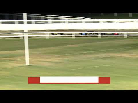 2020.07.24. 02. futam - Mega Delight Díj S0