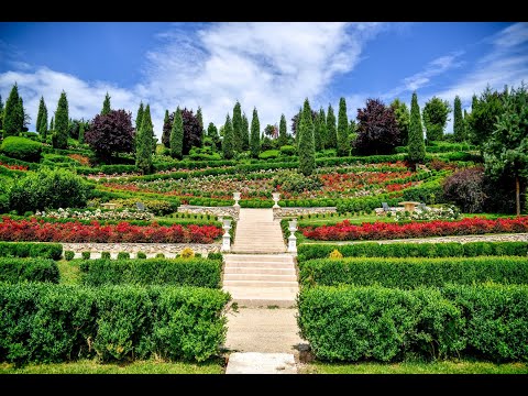 I Giardini di Zoe - Aristocrata