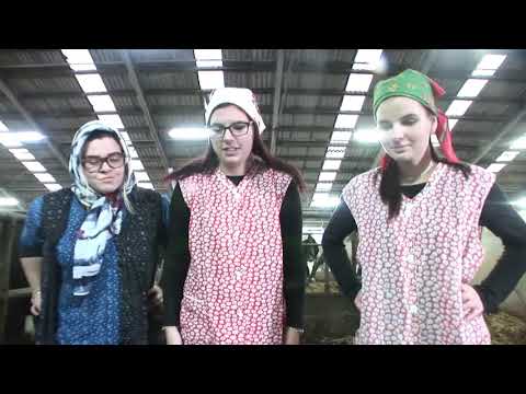 Slunce, seno, maturita - Maturitní video (ZA4; Český Krumlov; 2019/2020)