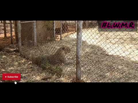 Here We Go Again!!! | Out In The Wild,Kinda 🤣🤣