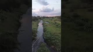 Download lagu Real Mermaid 🧜‍♀️ Caught On Camera At Morula Sun Bridge...Focus mp3