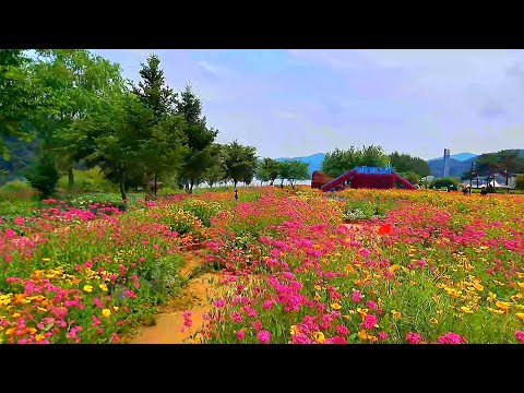 Calum Malcolm - Down By The Sally Gardens (버드나무 정원 아래에서 )