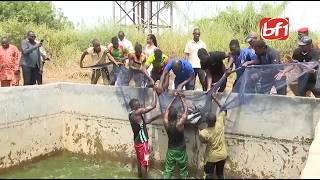Pisciculture-Camp Naaba Koom II : la Garde républicaine réussit sa première récolte de silures