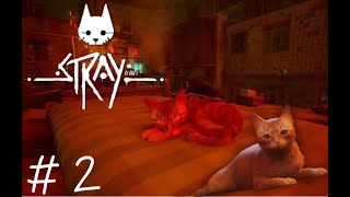 このゲーム製作者より猫の数の方が多いらしい。【Stray】#２