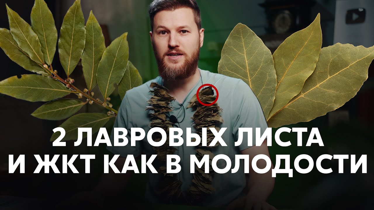2 лавровых листа и  ЖКТ,  как в молодости