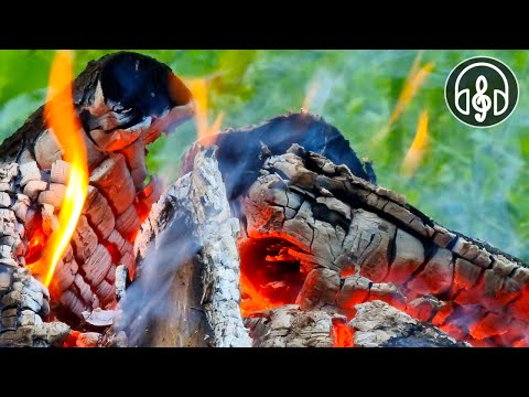 Entspannender Klang des Feuers im Morgenwald für Entspannung und Meditation