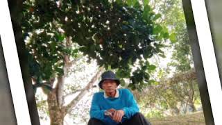 Download lagu Imagine ~ John Lennon Saxophone Instrumental mp3