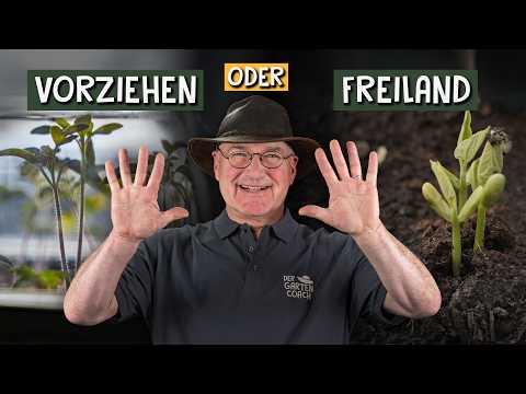 März-Aussaat: Gemüse vorziehen oder direkt ins Freiland?