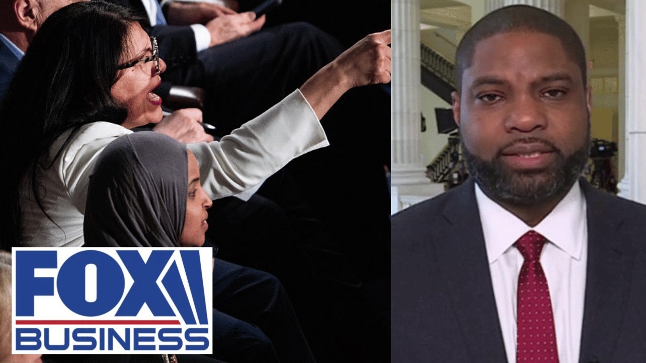 'LOST THE PLOT': TDS has 'fried every cell' in Dems' brains, Rep. Donalds says