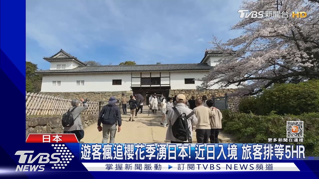 遊客瘋追櫻花季湧日本!近日入境 旅客排等5HR