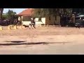 Mystery Half Dog Half Human Creature Filmed In Limpopo South Africa
