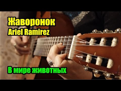 Жаворонок (В мире животных) -  Ariel Ramirez - la peregrinación | На гитаре + разбор