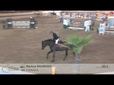 Fiarada (Diarado/Contendro I/Campione) mit Markus Saurugg im Magna Racino 16 02 20 1,20m