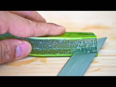 So stellen Sie Aloe Vera-Gel in 90 Sekunden her!!