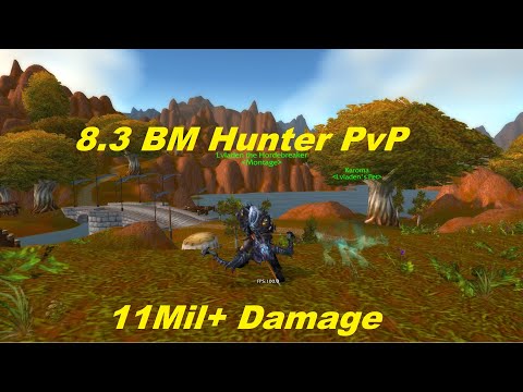 WoW 8.3 BM Hunter PvP - How are YOU enjoying WoW? - Lvladen Commentary