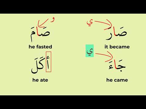 Unveiling the Hidden Meanings of Alif and Hamza! A MUST WATCH for students.