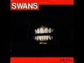 Swans Freak