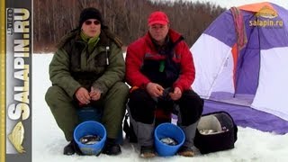 Когда ловить уклейку весной со льда
