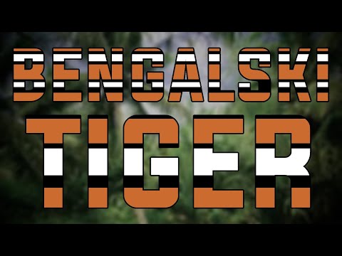 Stoyan Kolev/Simon(g) - Bengalski tigur (unofficial audio)